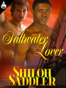 Click on the Cover to go to Shiloh's Blog!
